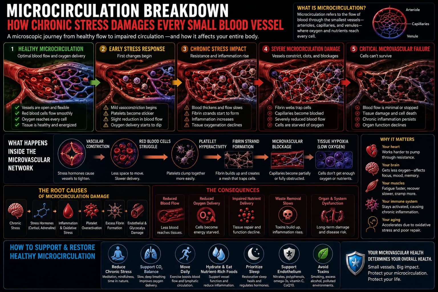 Illustration — thickened blood impairing microcirculation