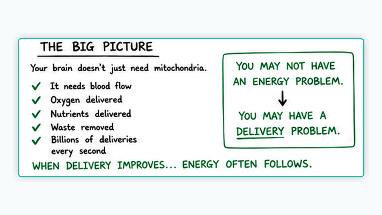 Whiteboard illustration of the big-picture delivery system model of brain function