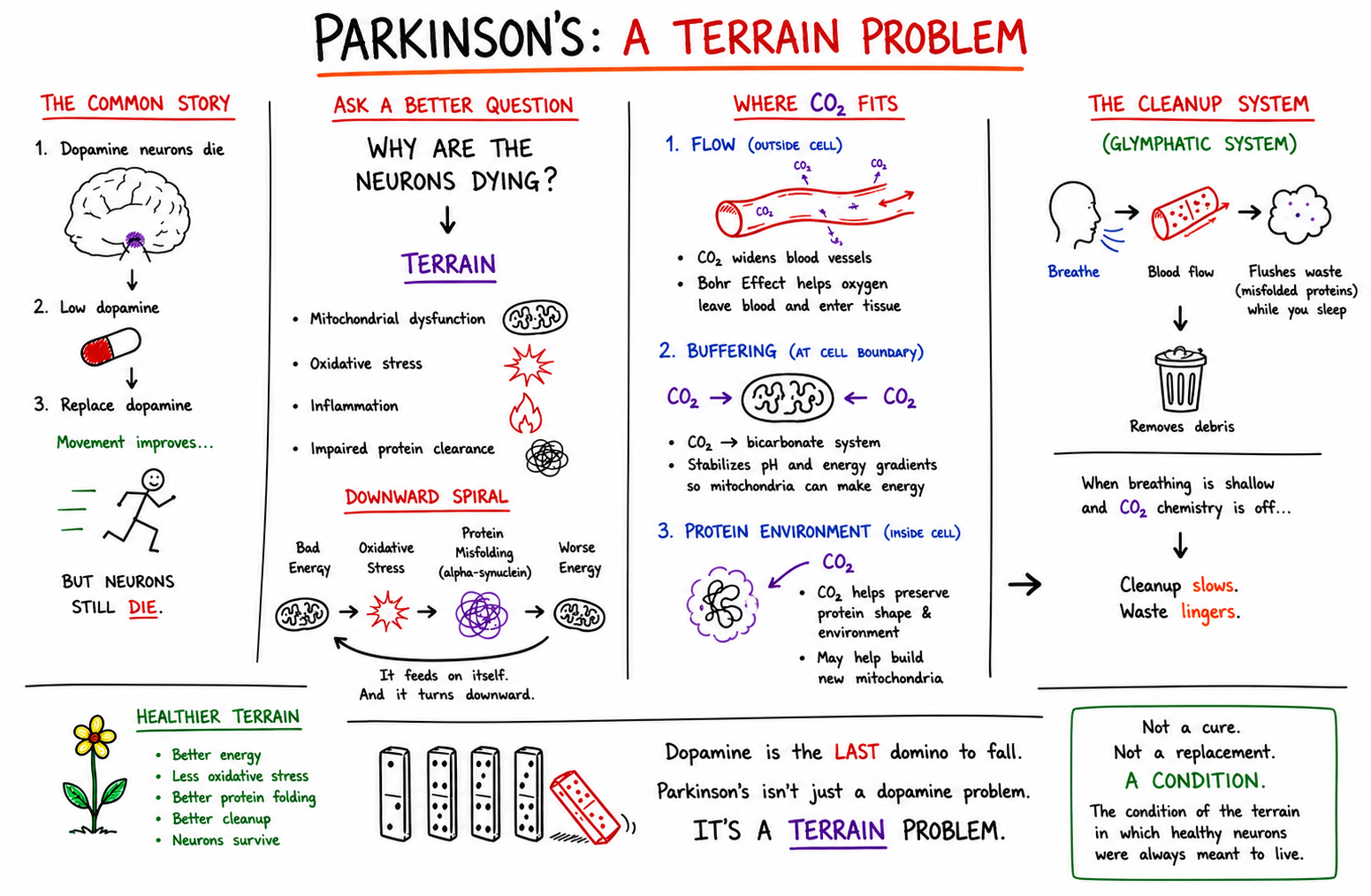 Hand-drawn whiteboard overview: Parkinson's as a terrain problem