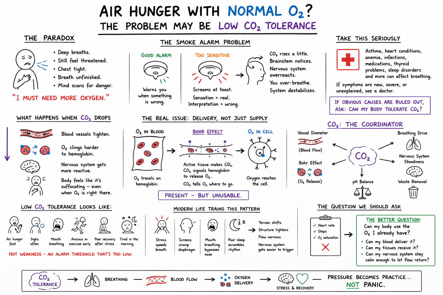 The full Air Hunger whiteboard: normal oxygen, low CO2 tolerance, and the delivery problem