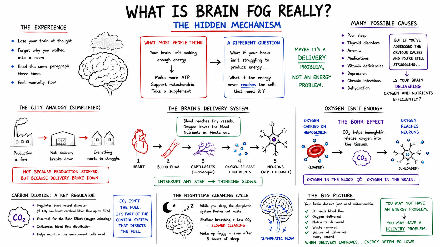 Full whiteboard overview of what brain fog really is: the hidden delivery mechanism, covering causes, the city analogy, the brain delivery system, the Bohr effect, CO2 regulation, the nighttime cleaning cycle, and the big picture